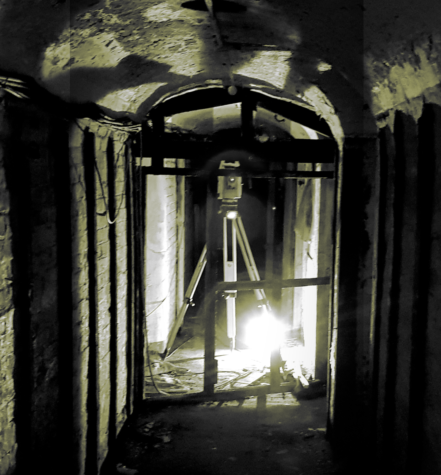 Timely and Prompt Survey services