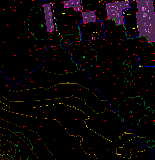 Experienced Surveyors